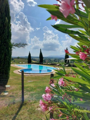 Agriturismo Corte in Poggio Stabbia